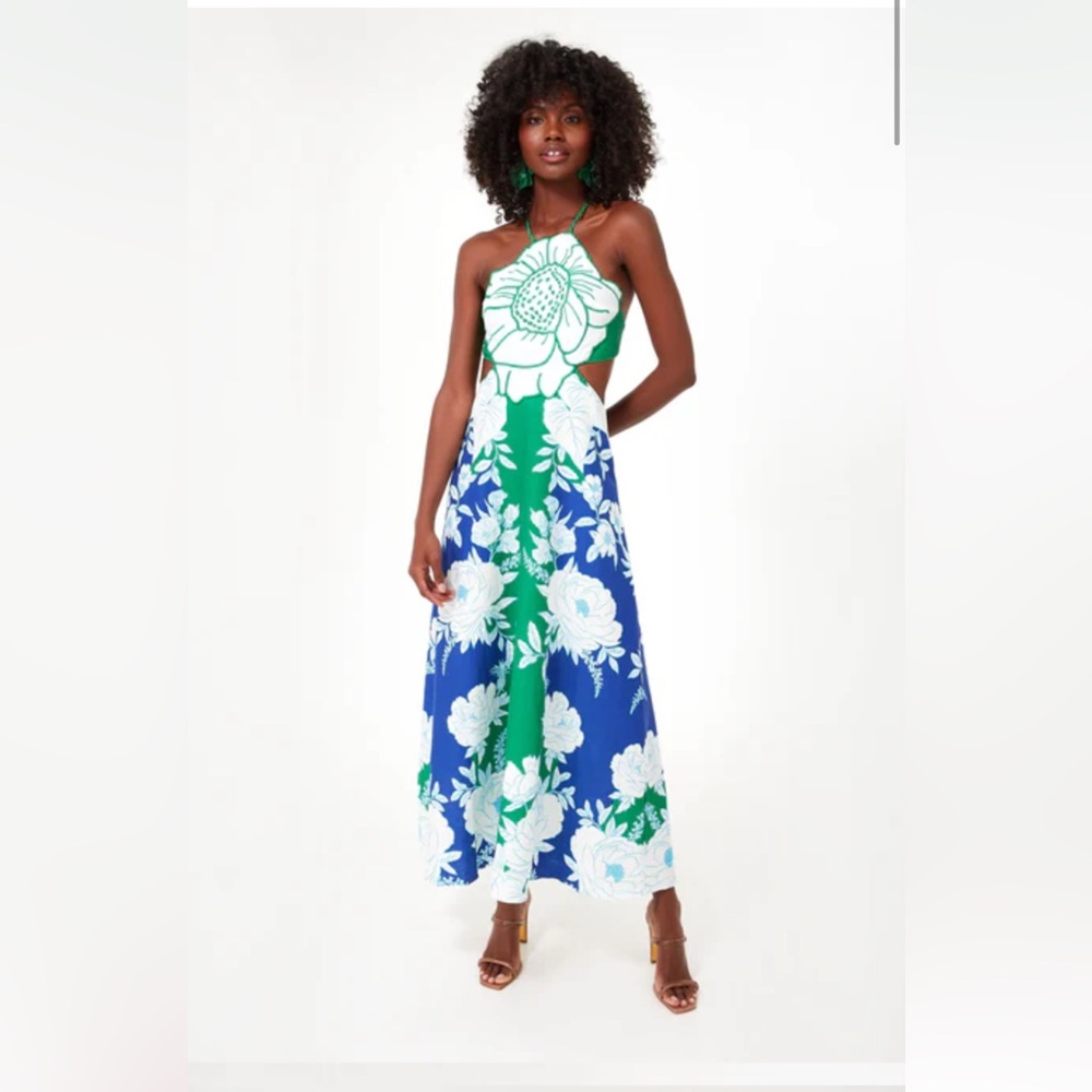 Farm Rio soft garden blue flower maxi dress, size L